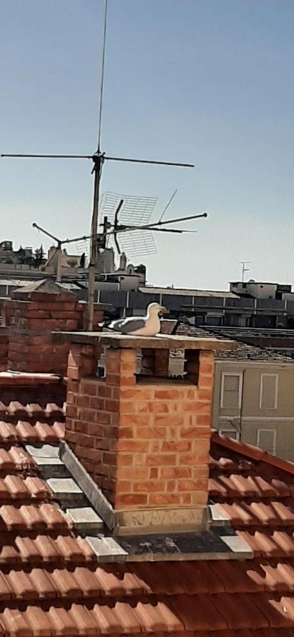 Le Petit Citron Menton